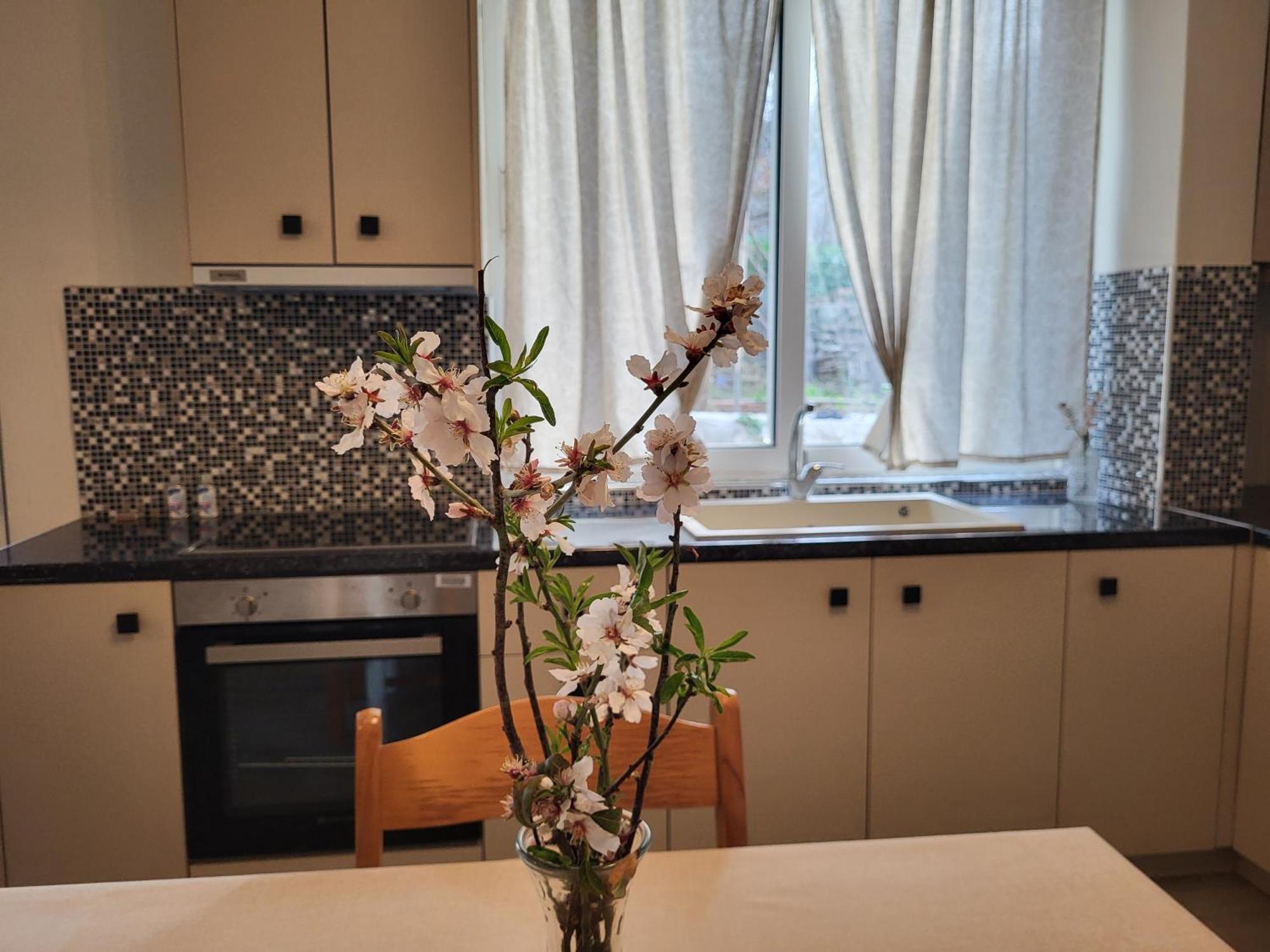 Apartment Avla *